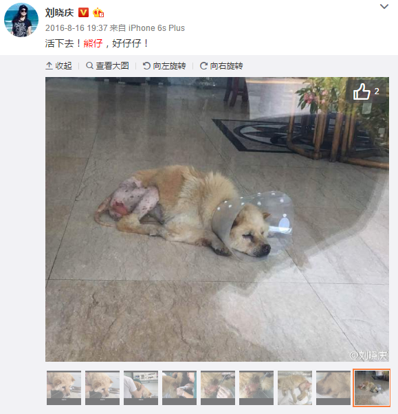 万博体育下载